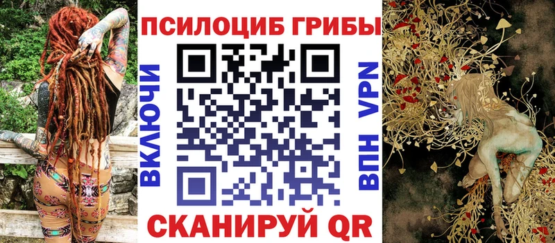 Псилоцибиновые грибы Psilocybine cubensis Бердск