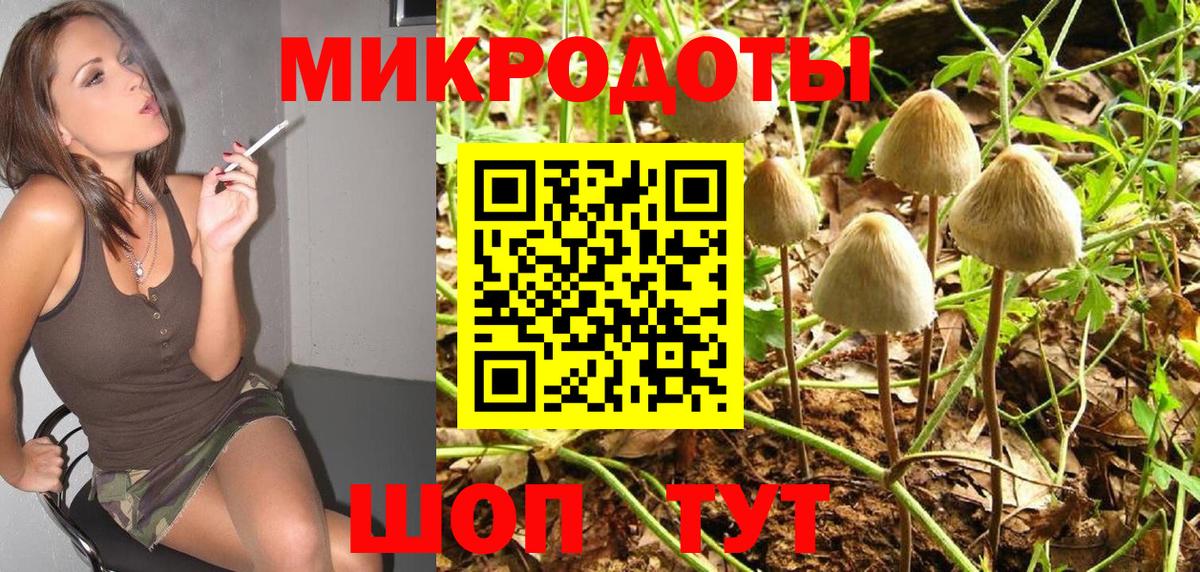 Галлюциногенные грибы Psilocybine cubensis  Бердск  Псилоцибиновые грибы Cubensis 