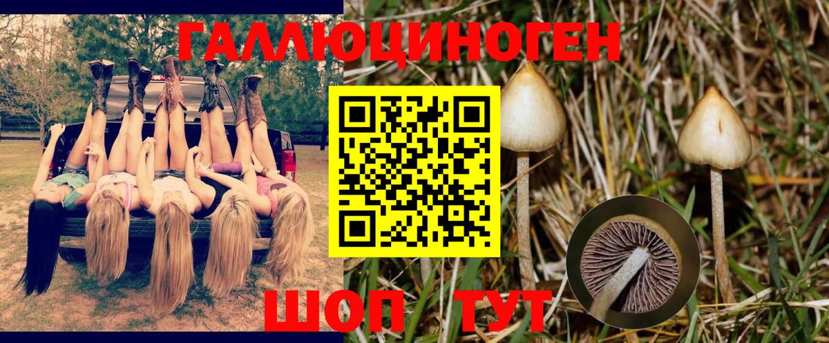 Галлюциногенные грибы мухоморы  Вход с VPN  Бердск 