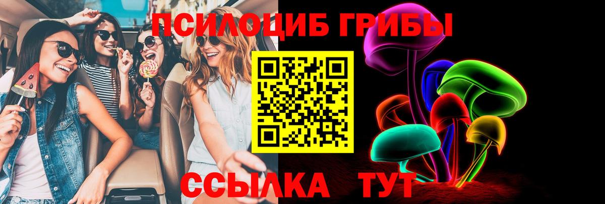 Галлюциногенные грибы GOLDEN TEACHER Бердск